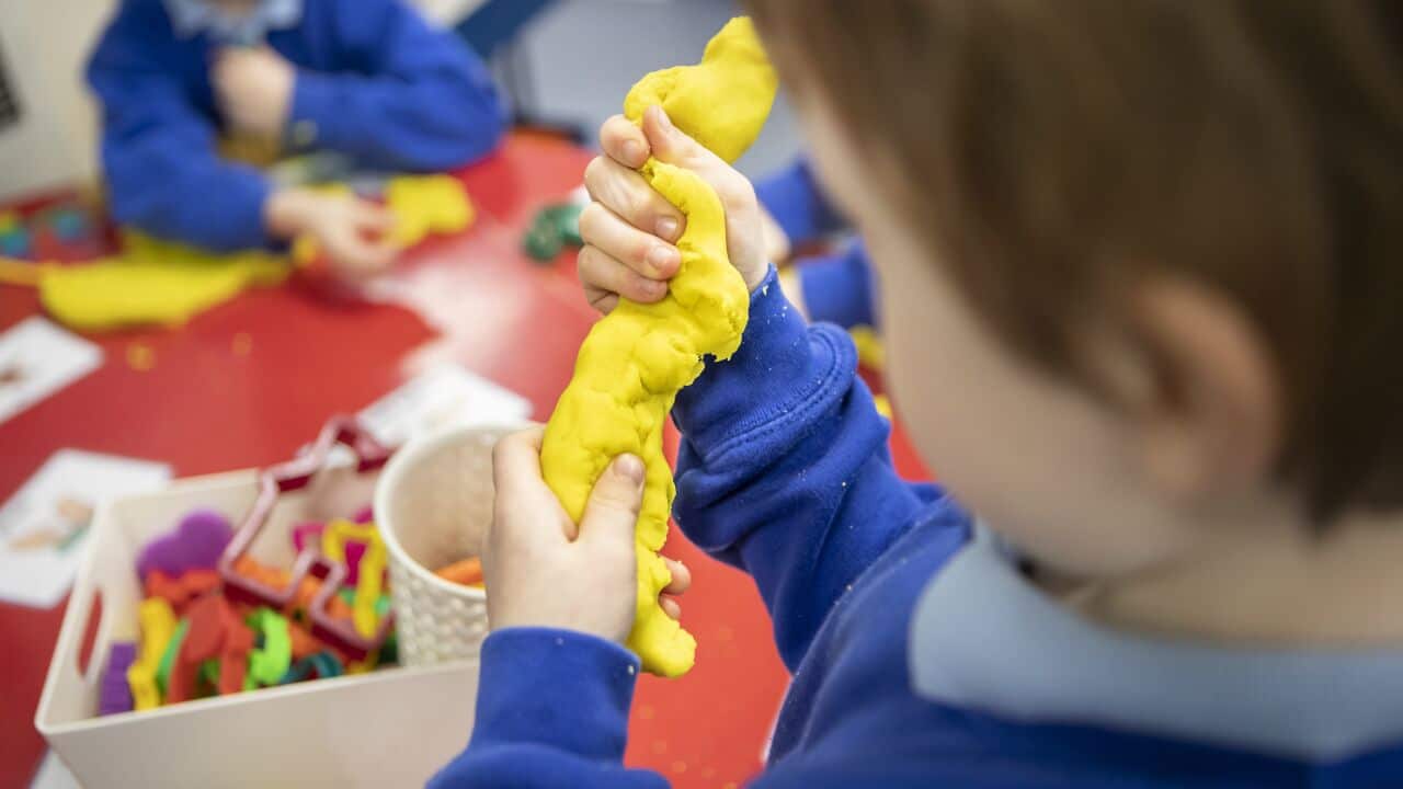 Image for read more article 'https://www.sbs.com.au/news/article/nsw-to-add-extra-year-to-early-education-vic-ex/08zuhjclx'