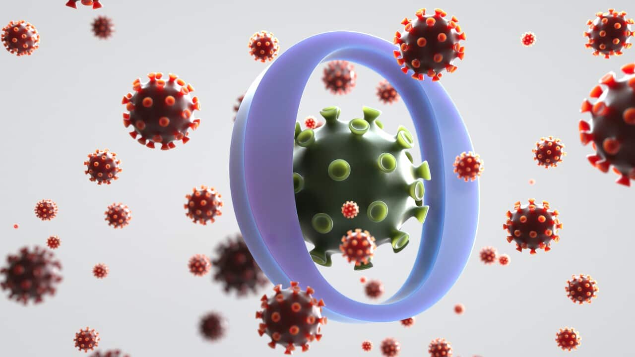 Covid-19 Omicron variant