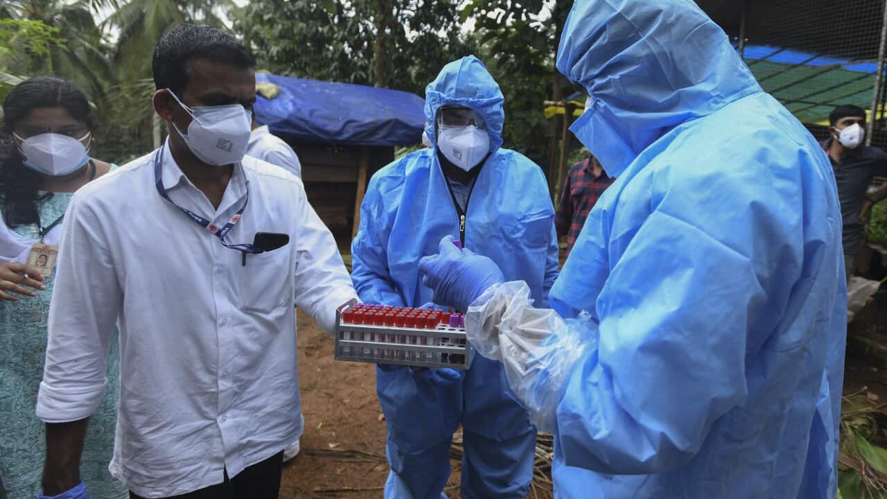 India Rare Virus