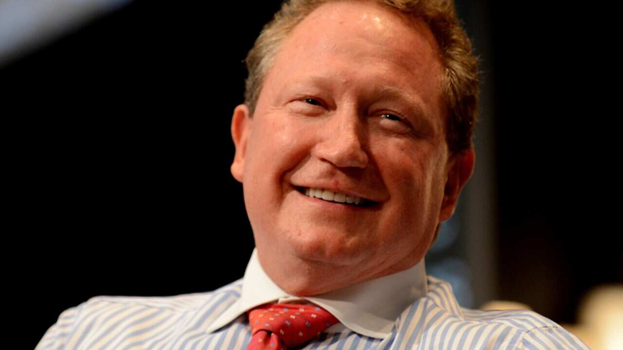 Fortescue Metals Group founder Andrew Forrest