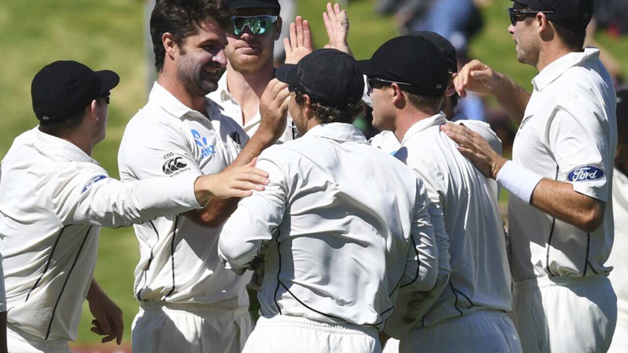 New Zealand players celebrate after claiming a wicket