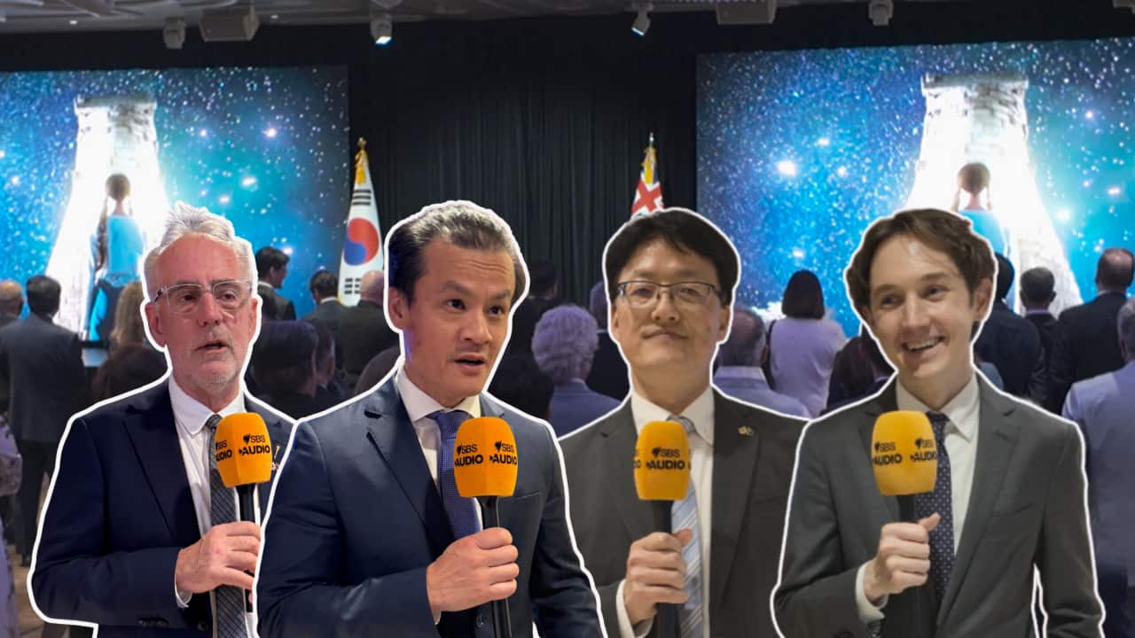 Explainer TOP5.png