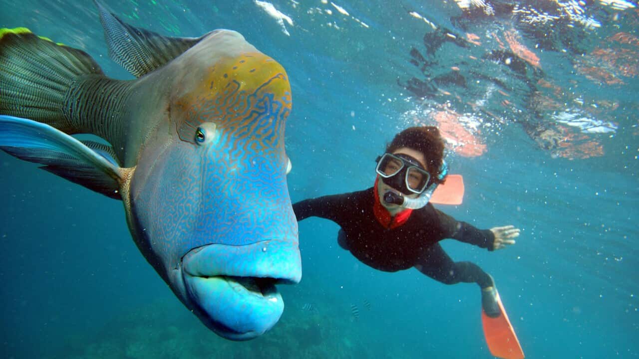 Image for read more article 'Potrebbe interessarti anche:'