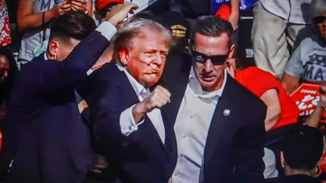 Trump's ear wounded in Pennsylvania rally attack - 14 Jul 204