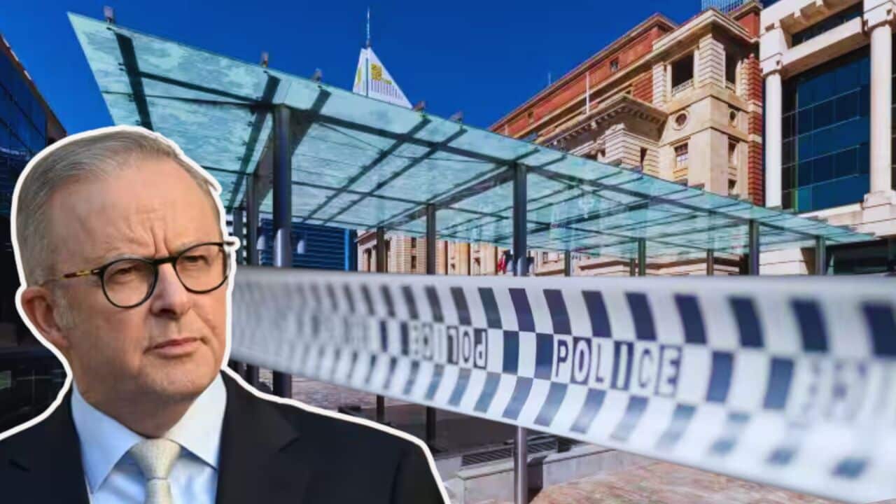 Anthony Albanese wearing glasses and a black suit