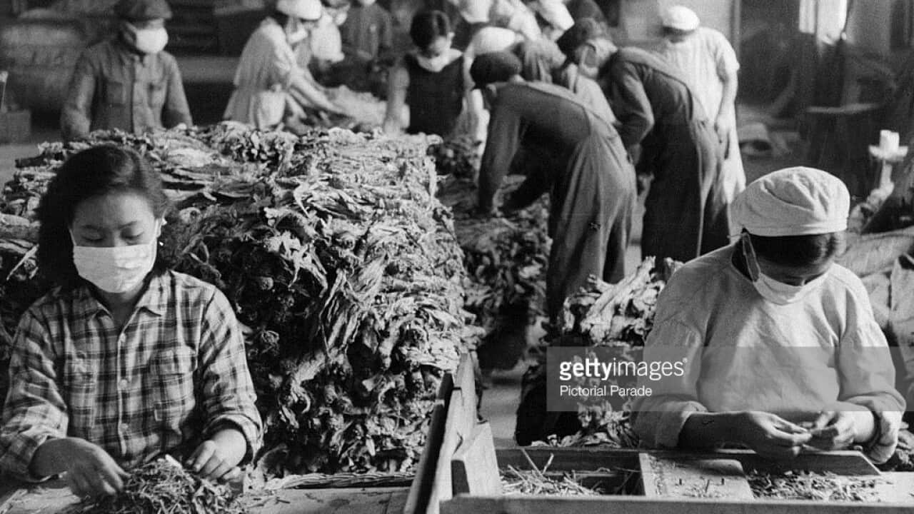 New Tobacco Laws in Samoa