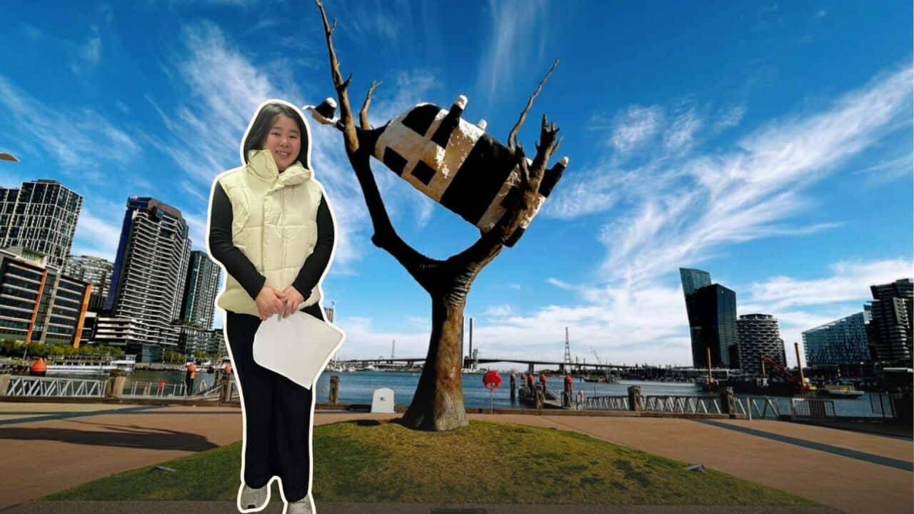 Boi of ALC Header Cutout.jpg