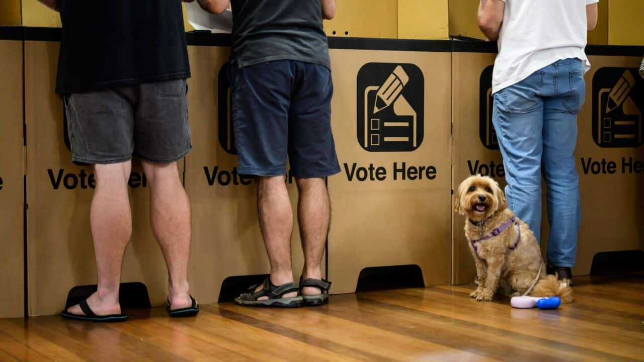 Image for read more article 'READ MORE'