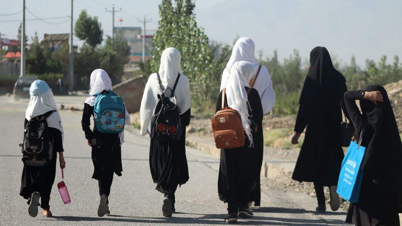 A group of girls wearing headscarves and backpacks walk on a road to school