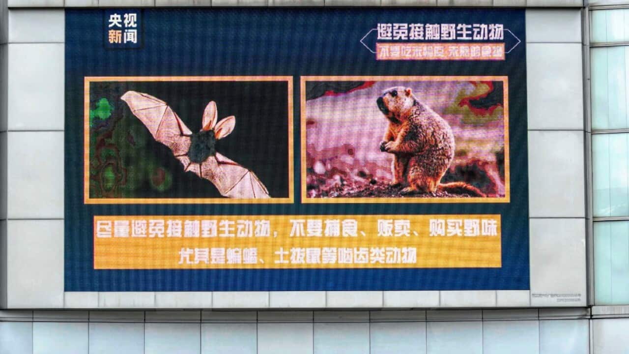 Image for read more article 'ΔΕΙΤΕ ΑΚΟΜΑ'