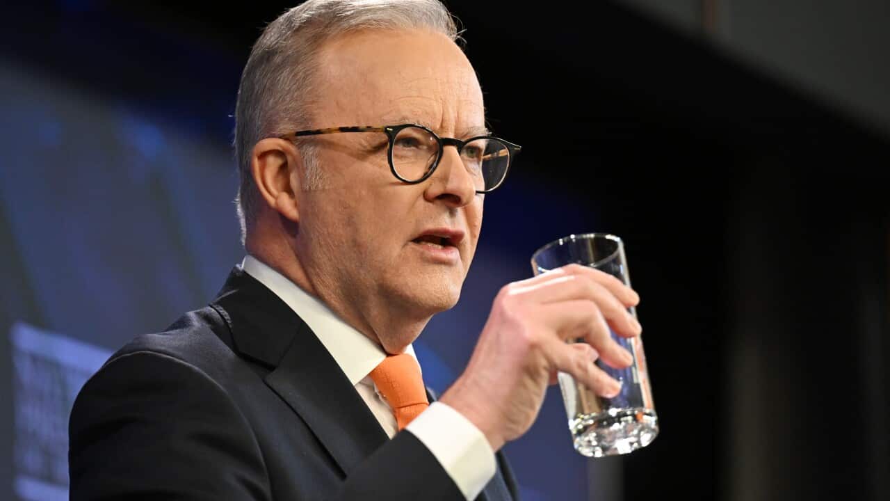 ANTHONY ALBANESE PRESS CLUB