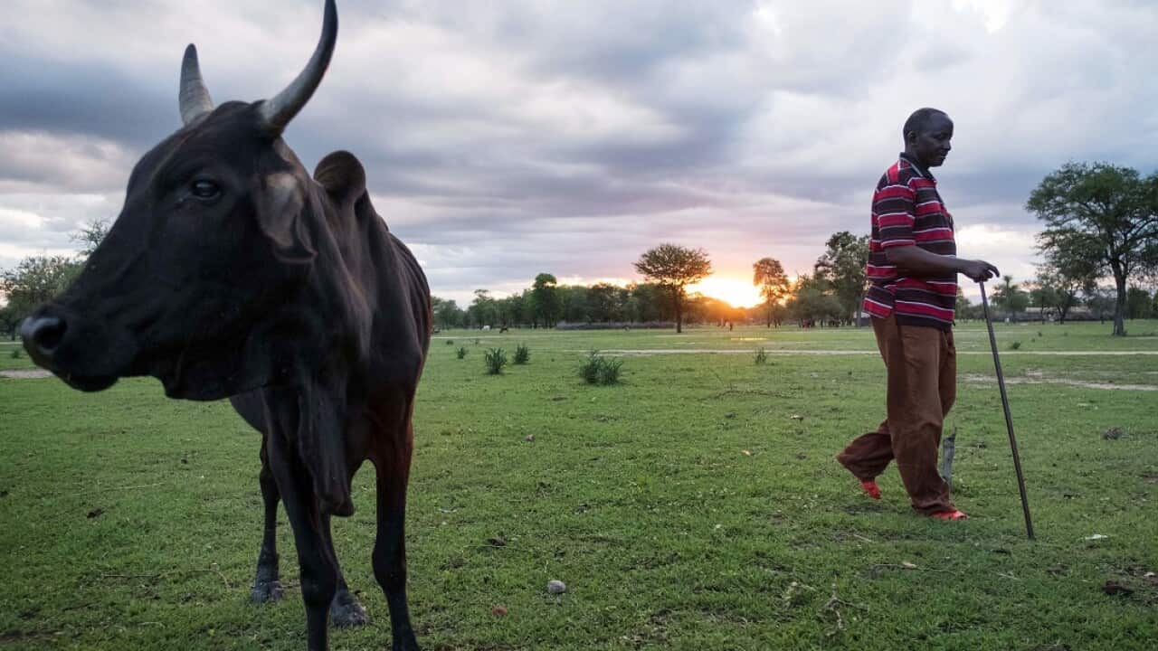 The report said climate change will be a major "loss of agricultural productivity".
