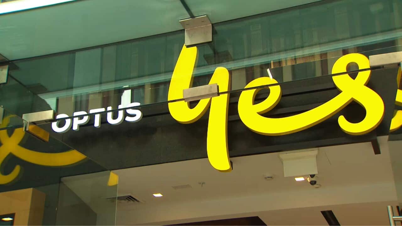 An Optus shop in Sydney (SBS).jpg