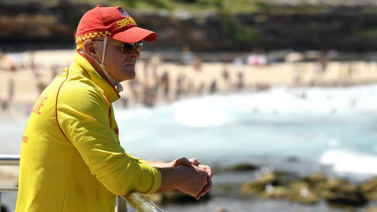A Surf Rescue guard on patrol at Bronte Beach