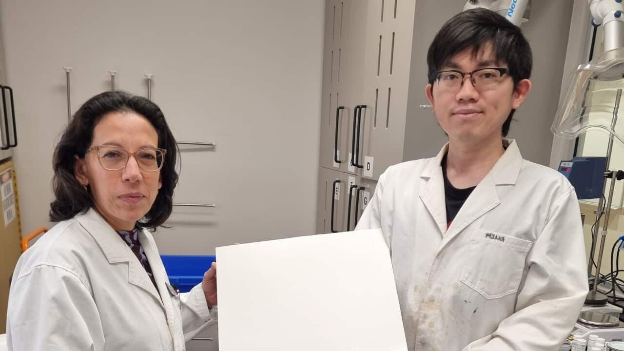 La professoressa Chiara Neto e il dott. Ming Chiu con il loro materiale ultra-riflettente rivestito di polimeri. 