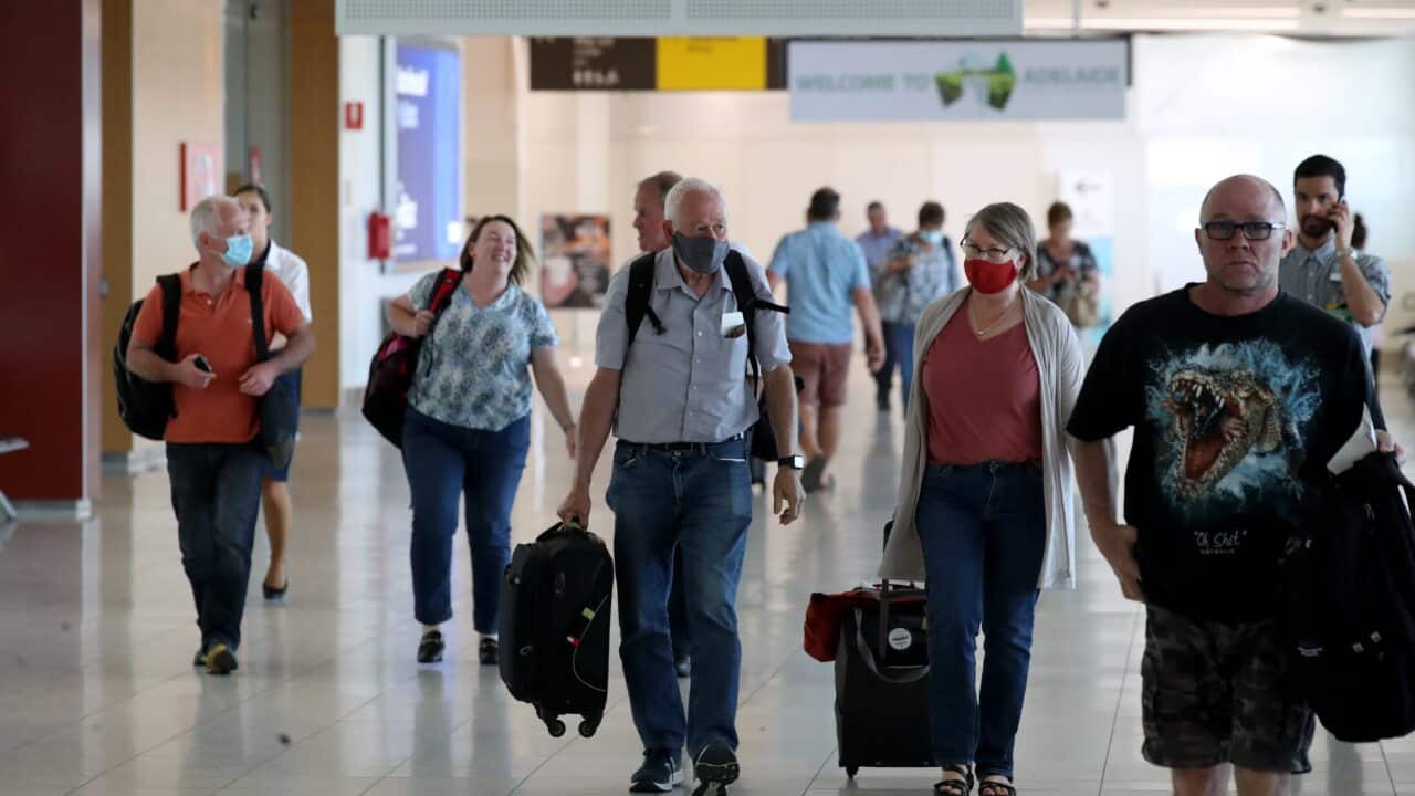 Sydney arrivals.