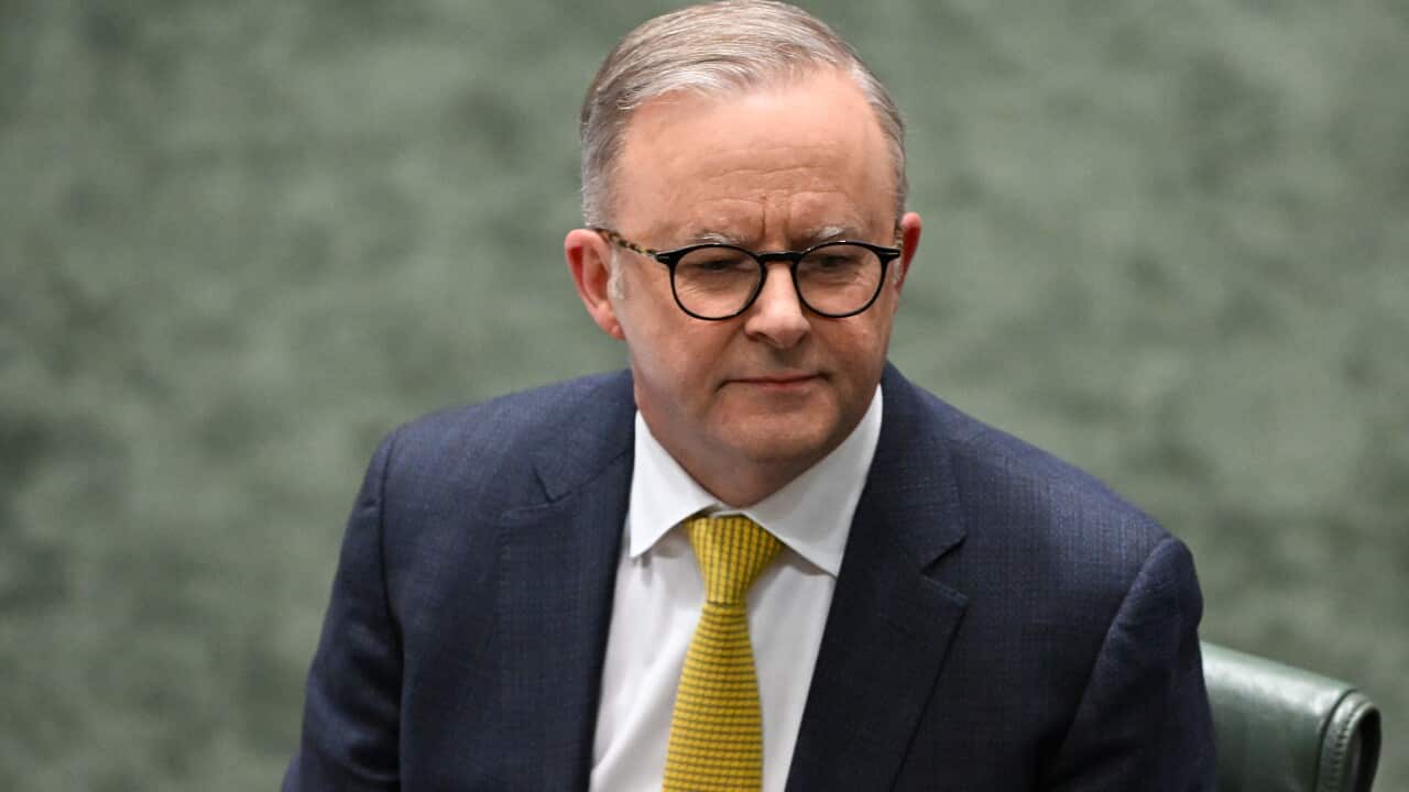 Anthony Albanese sitting on a seat against a grey background.