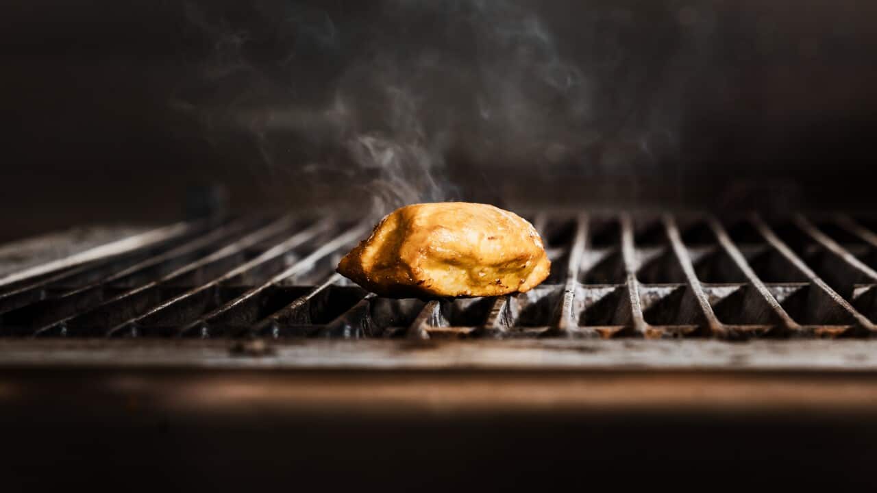 Cell Cultured Chicken at Eat Just in Alameda CA