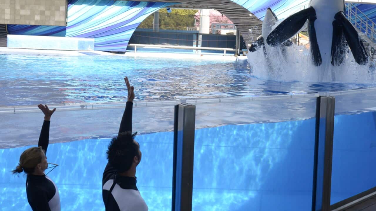 Theme park SeaWorld Shamu Stadium in Orlando