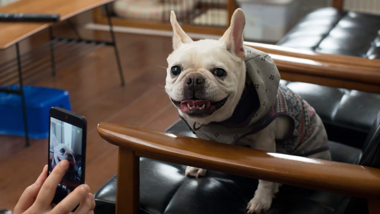 Image for read more article 'READ MORE'