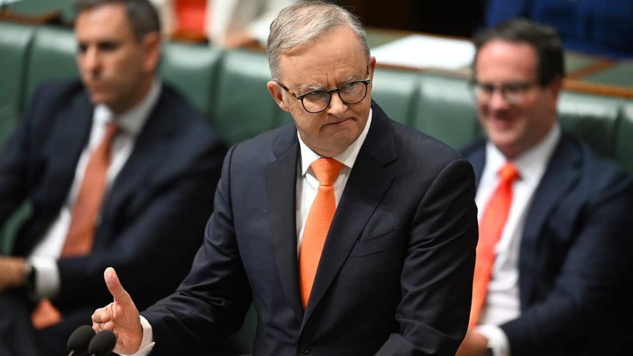 ANTHONY ALBANESE SOCIAL MEDIA MINIMUM AGE