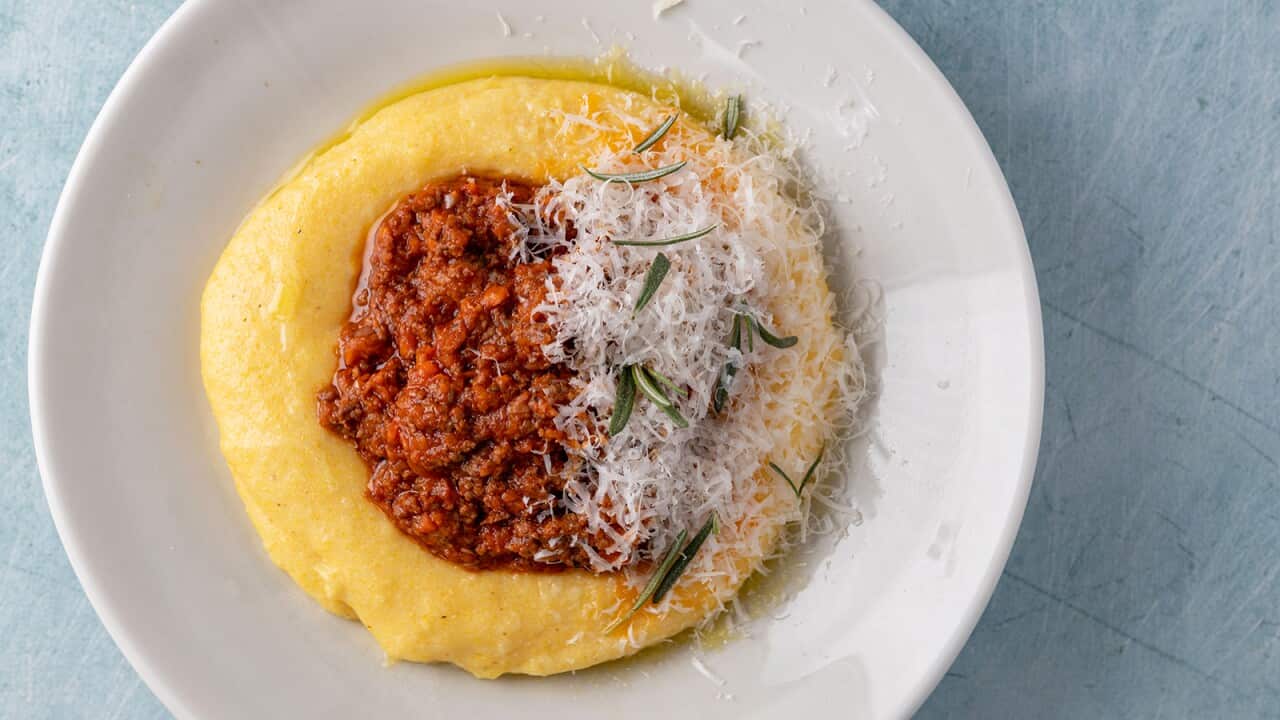 A round white plate sits on a pale blue surface. On it, meat sauce and finely grated cheese sit on a flat mound of yellow cooked polenta.