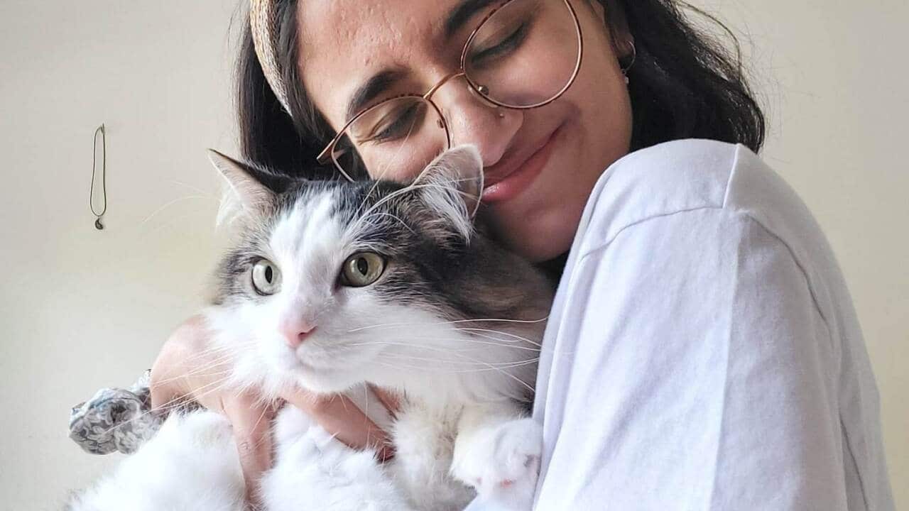 Lina Ali, Prince Ali, cat