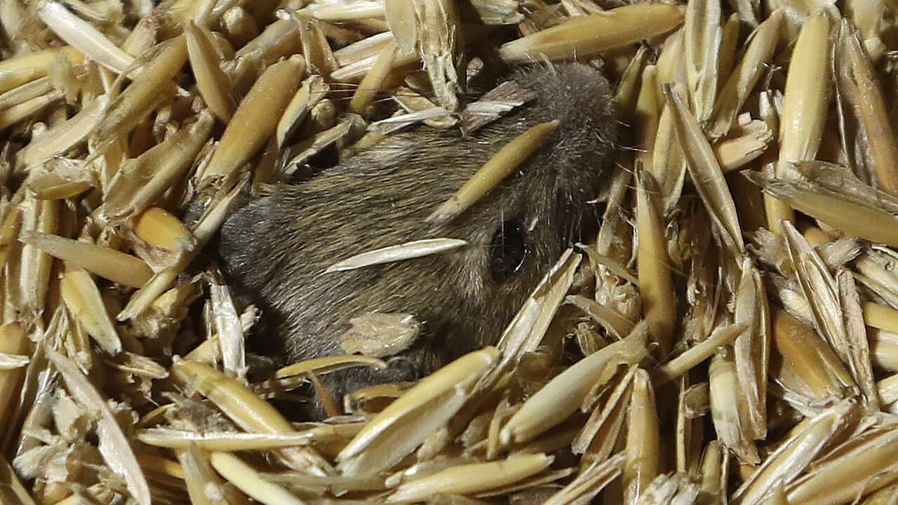 Image for read more article 'เรื่องราวที่น่าสนใจจากเอสบีเอส ไทย'