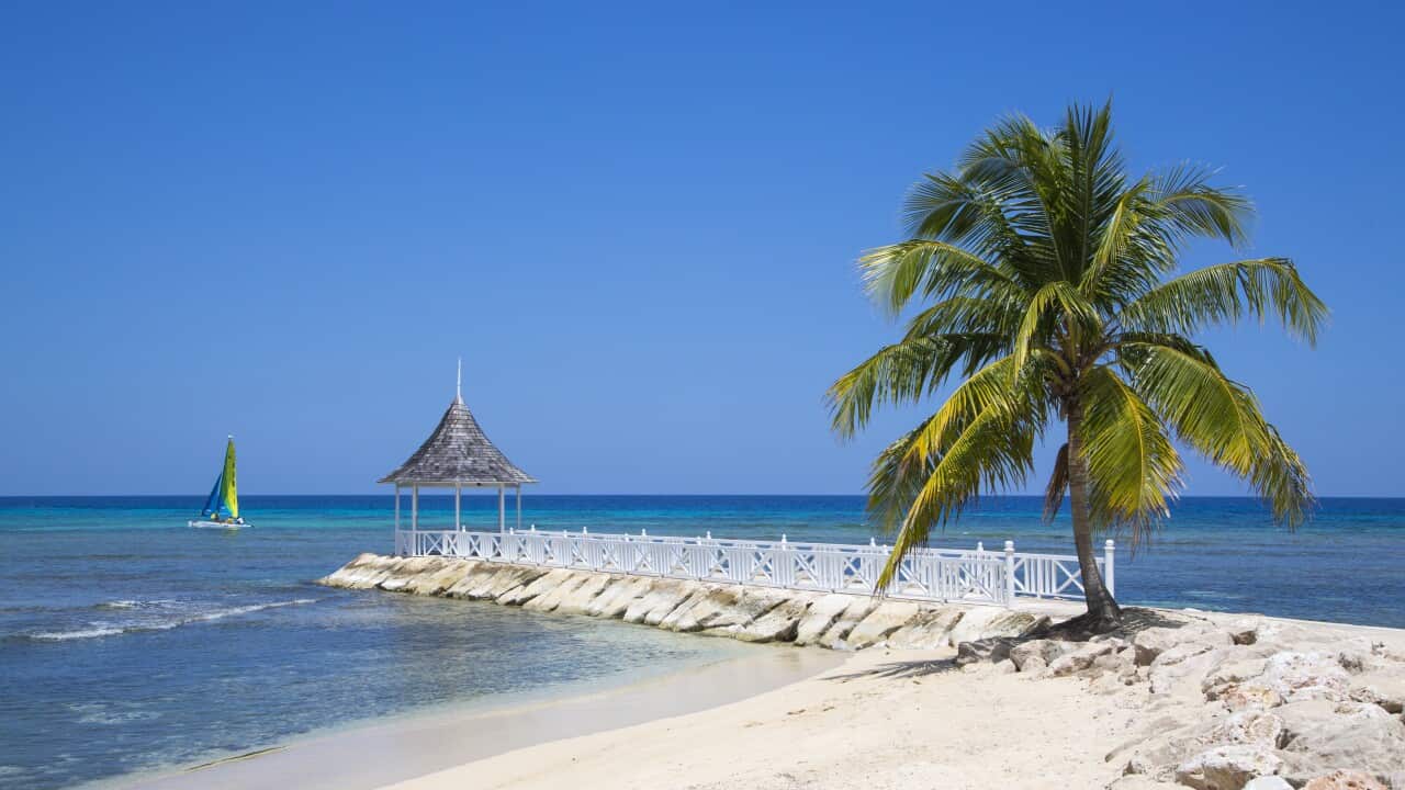 A palm tree and a jetty on a white sand beach, with a sailing boat in the ocean in the background