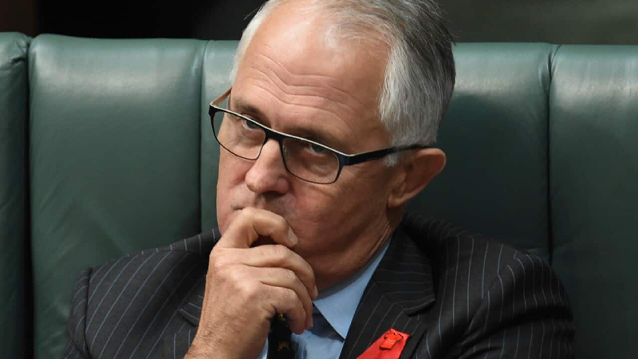 Communications minister Malcolm Turnbull