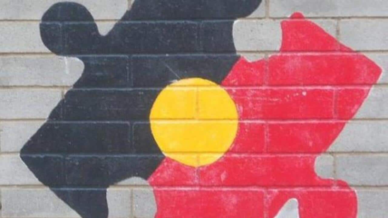 The Aboriginal flag