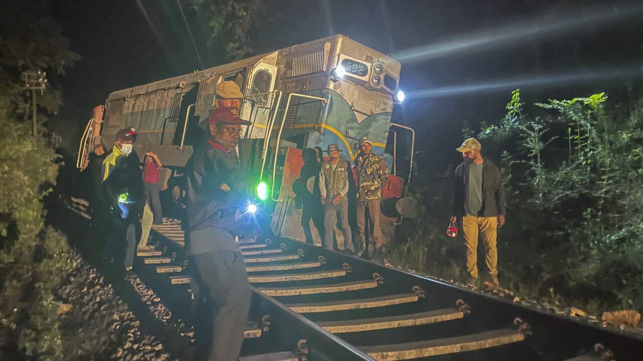 Sri Lanka Wild Elephant