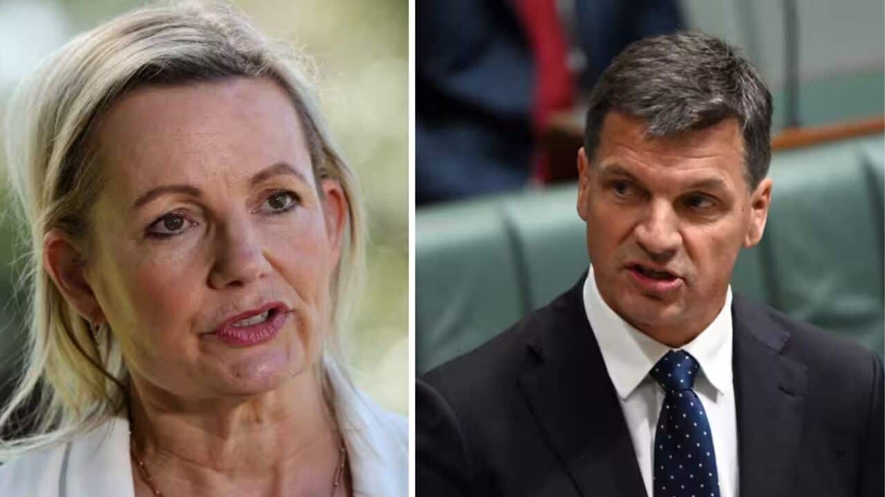 Copy of SBS Audio YouTube End Card 2 (7).jpg