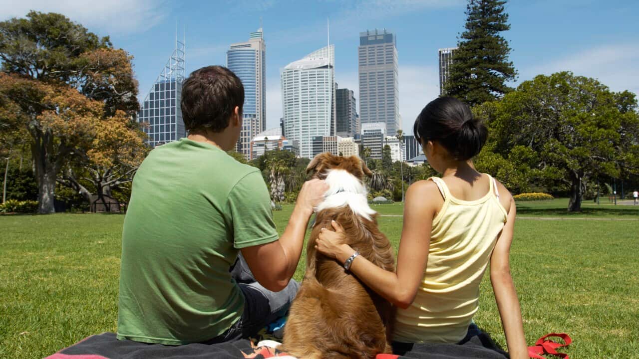 Wan yang couple eii sidaon Long wan picnic taowel long wan park wetem dog blong tufala