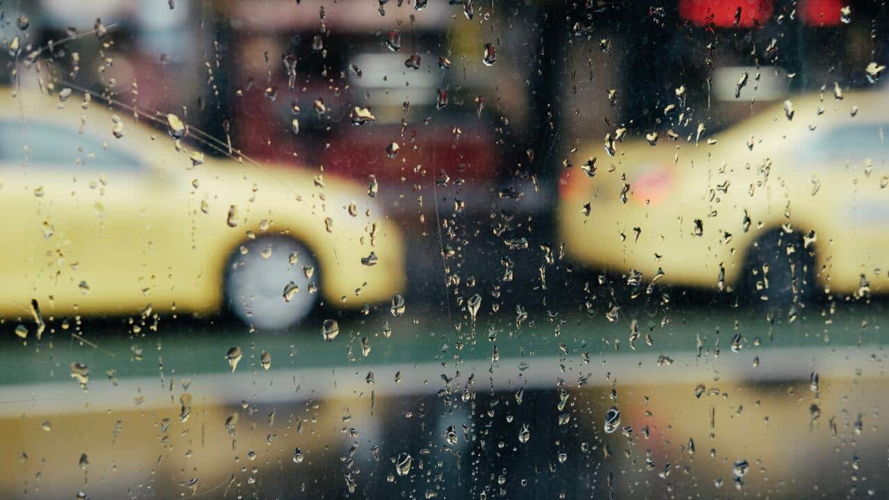 Image for read more article 'READ MORE'