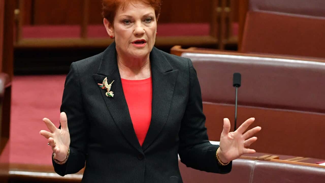 Pauline Hanson speaks in the Senate