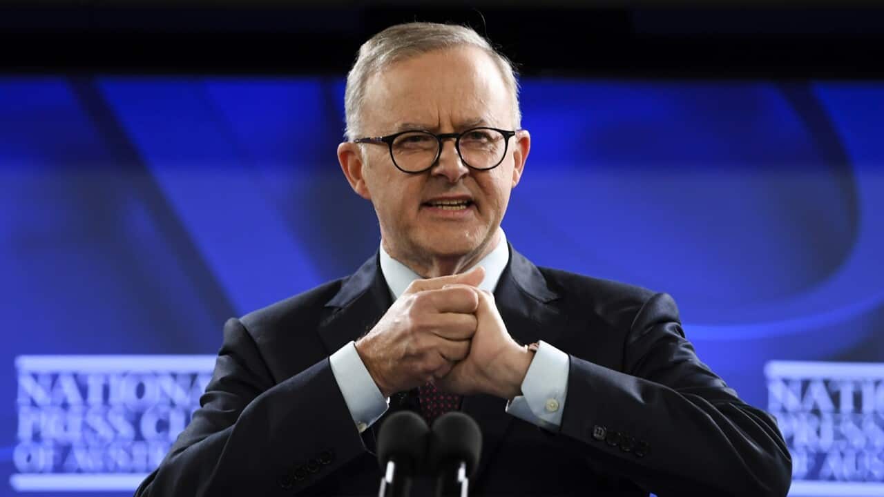 Albanese delivers his speech to the National Press Club
