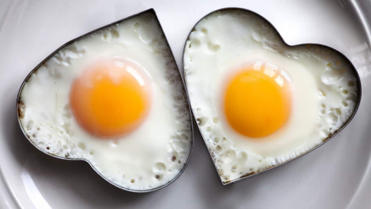 Cholesterol