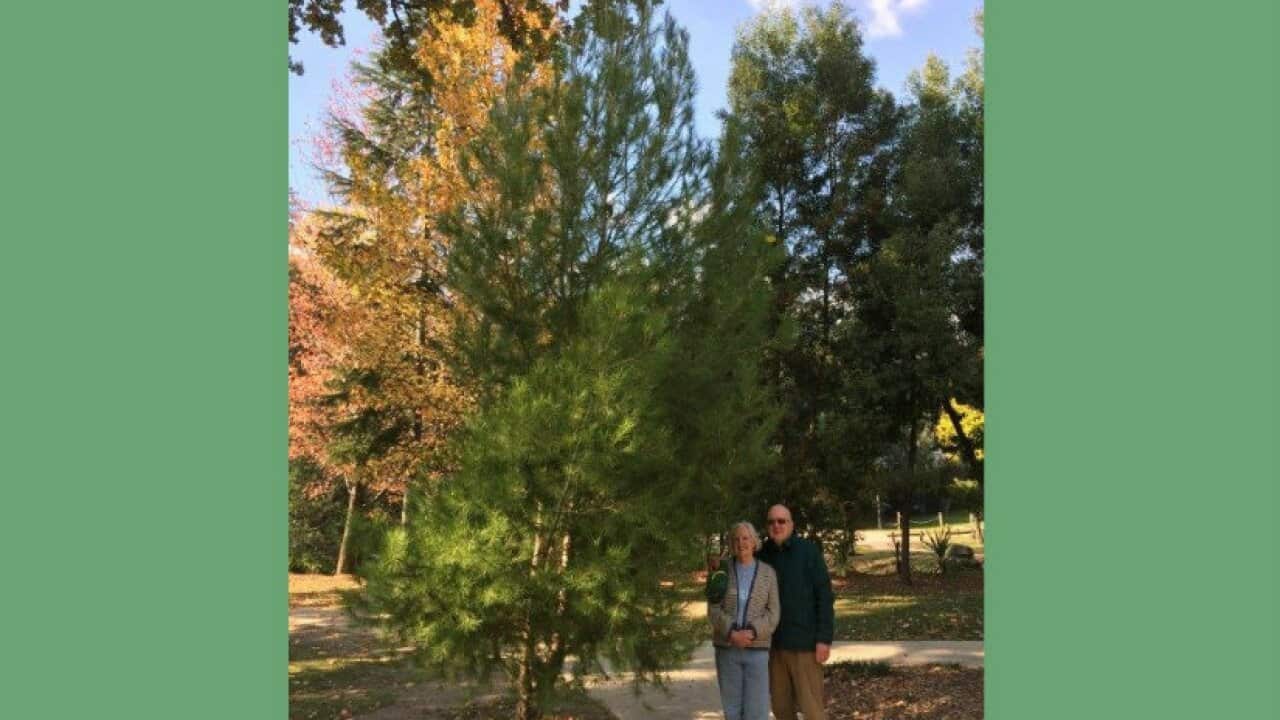 Image for read more article ''