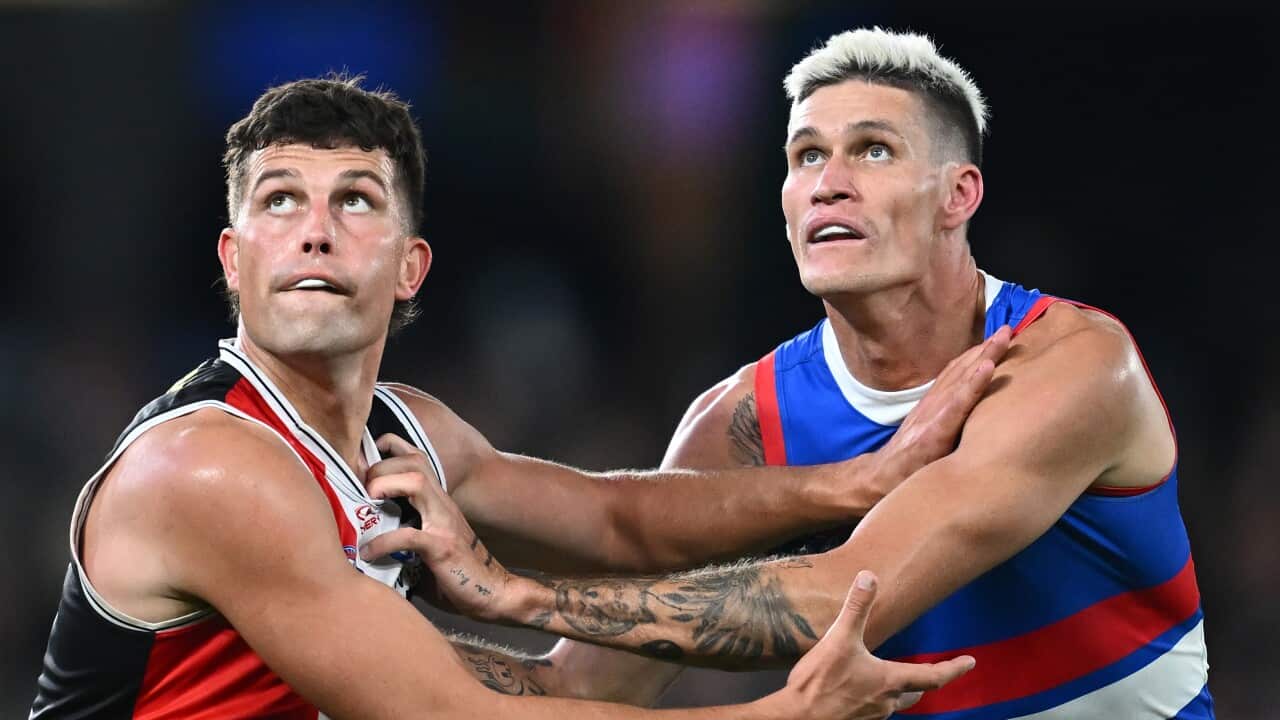 Image for read more article 'READ MORE'