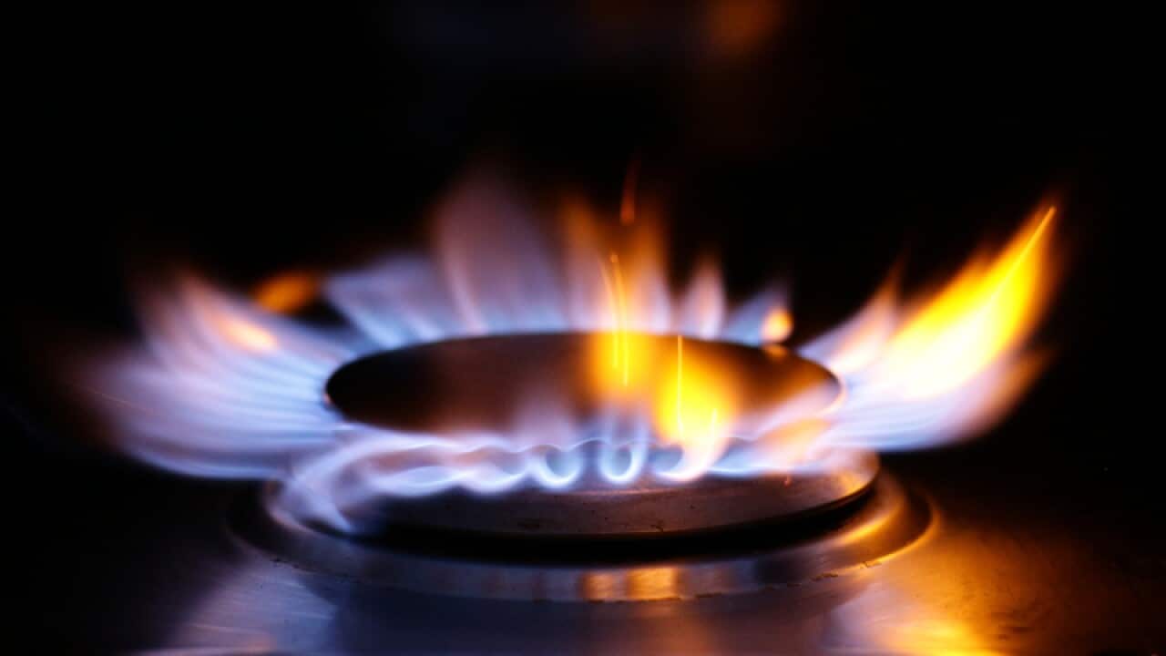 A lit ring on a gas hob
