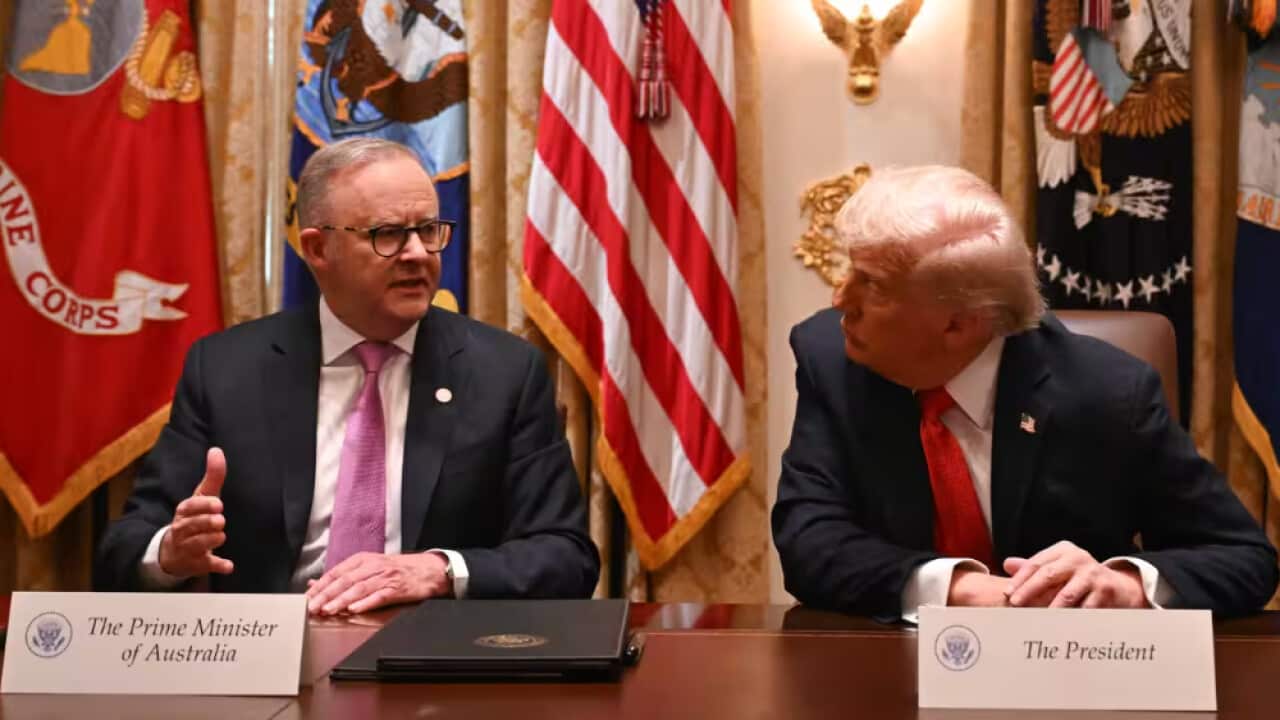 Albo with Tramp .png