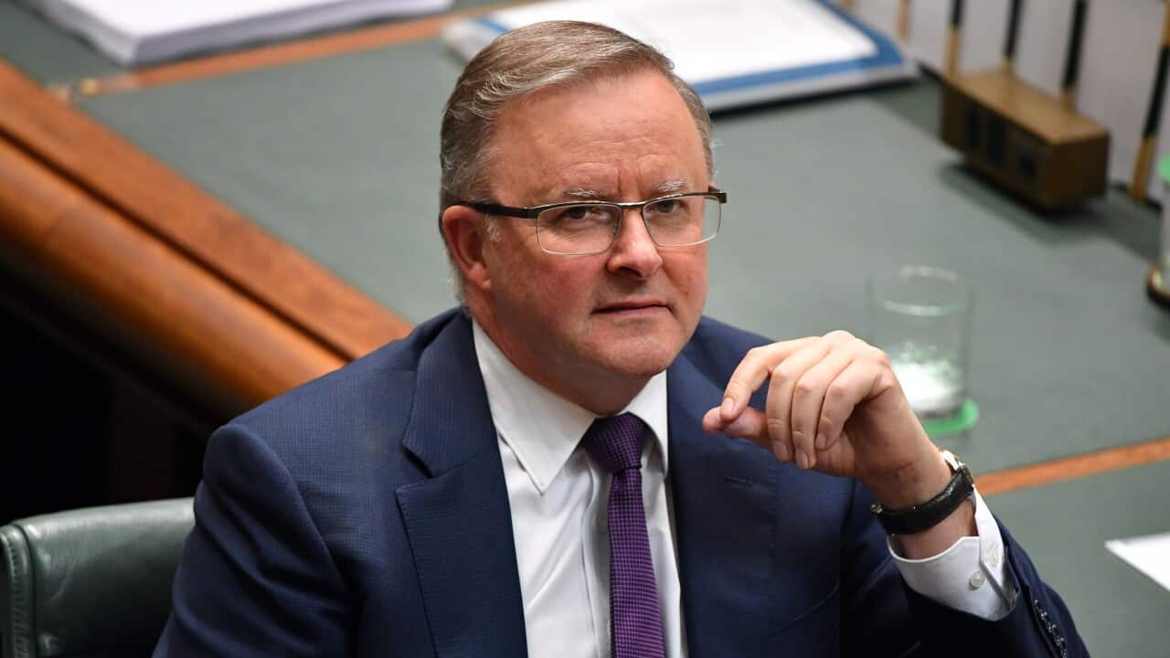 Leader of the Opposition Anthony Albanese during Question Time in the House of Representatives at Parliament House in Canberra, Tuesday, December 3, 2019. (AAP Image/Mick Tsikas) NO ARCHIVING