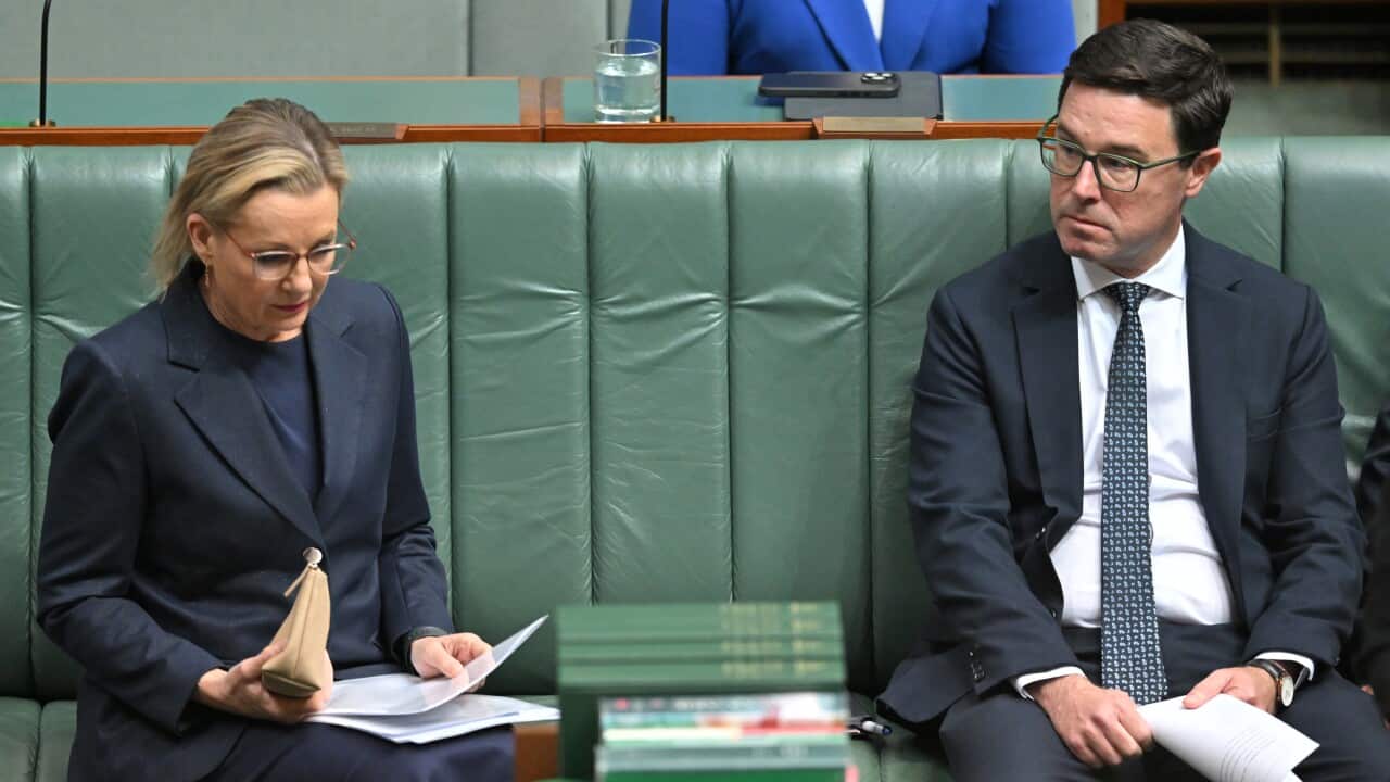 Two politicians seated on green benches in parliament, reading documents during a session.