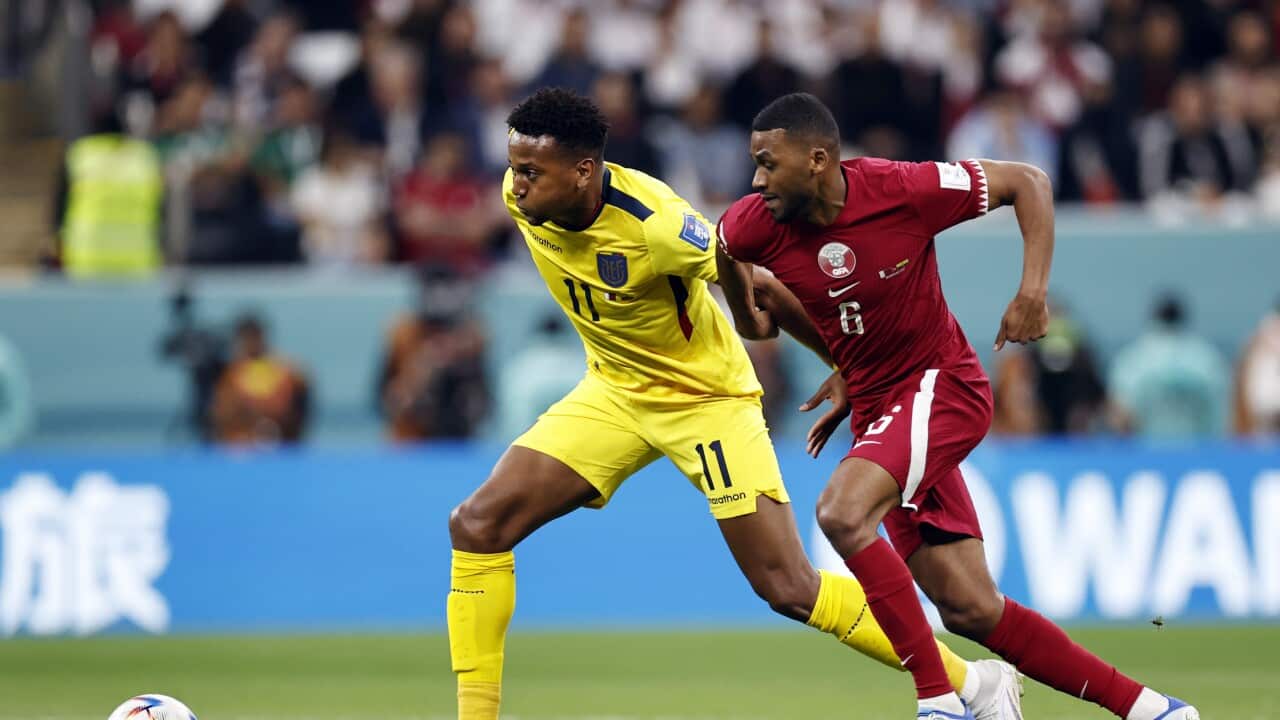 Image for read more article 'Contenido relacionado:'