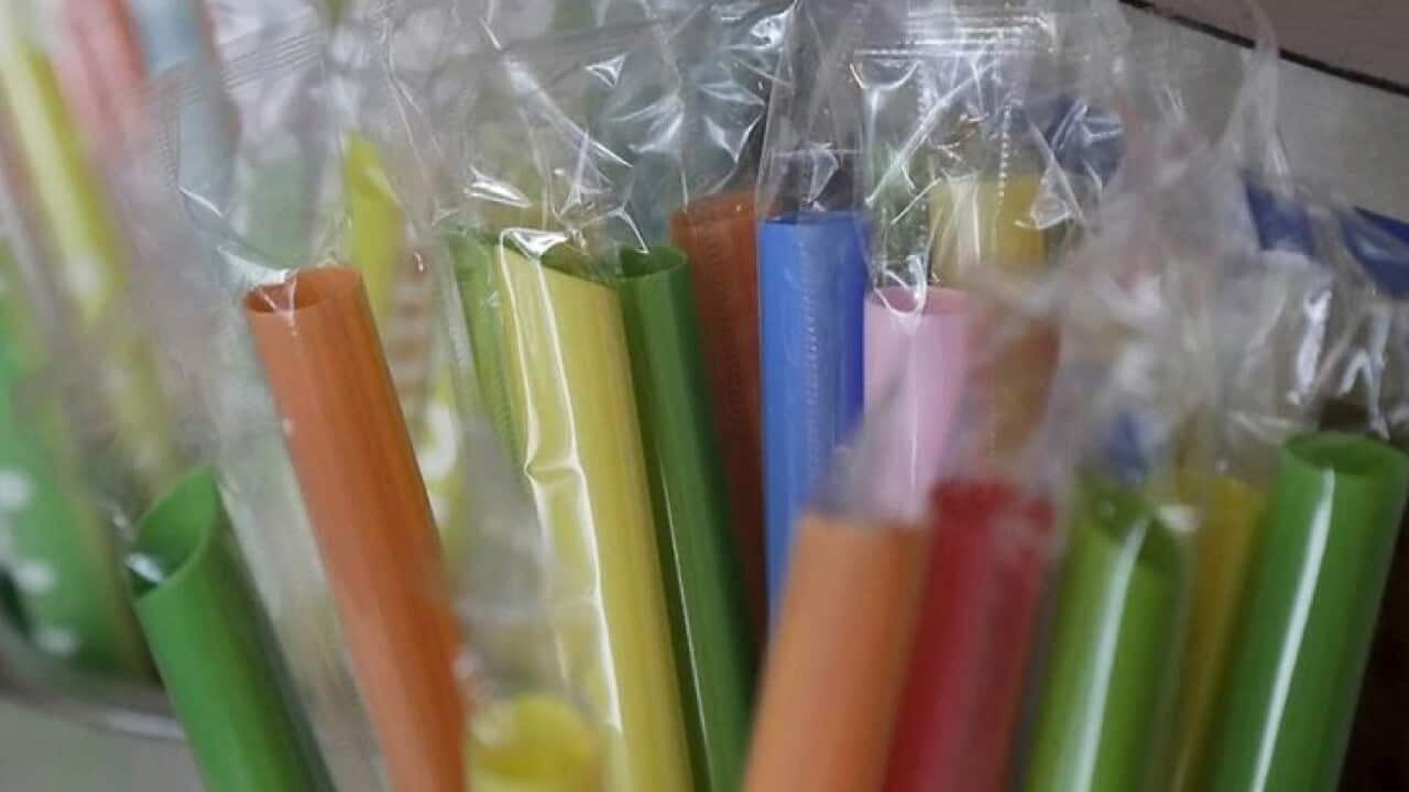 plastic ban