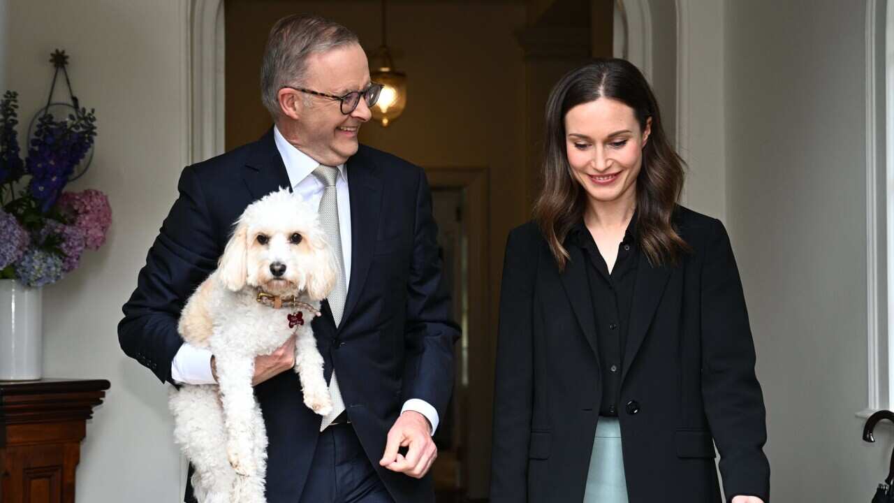 Anthony Albanese, dog Toto and Sanna Marin