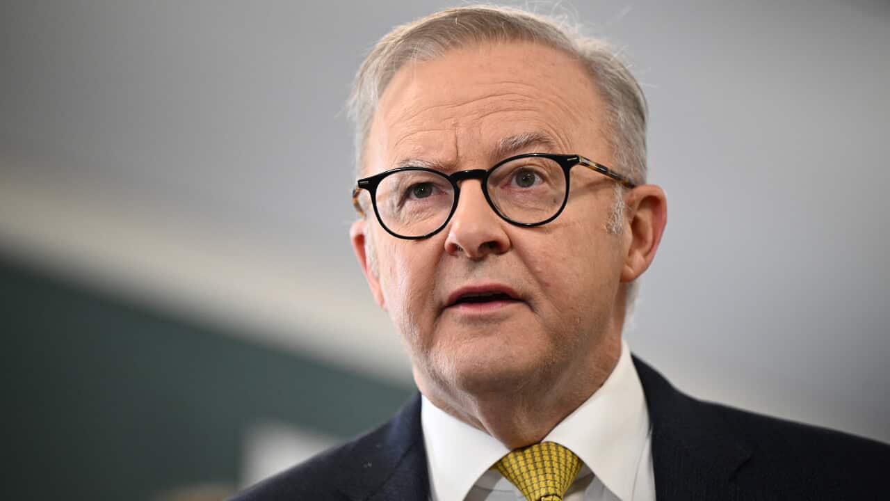 Albanese open to Australian peacekeepers in Ukraine, but Dutton doesn’t ‘see that’ Albanese open to Australian peacekeepers in Ukraine, but Dutton doesn’t ‘see that’