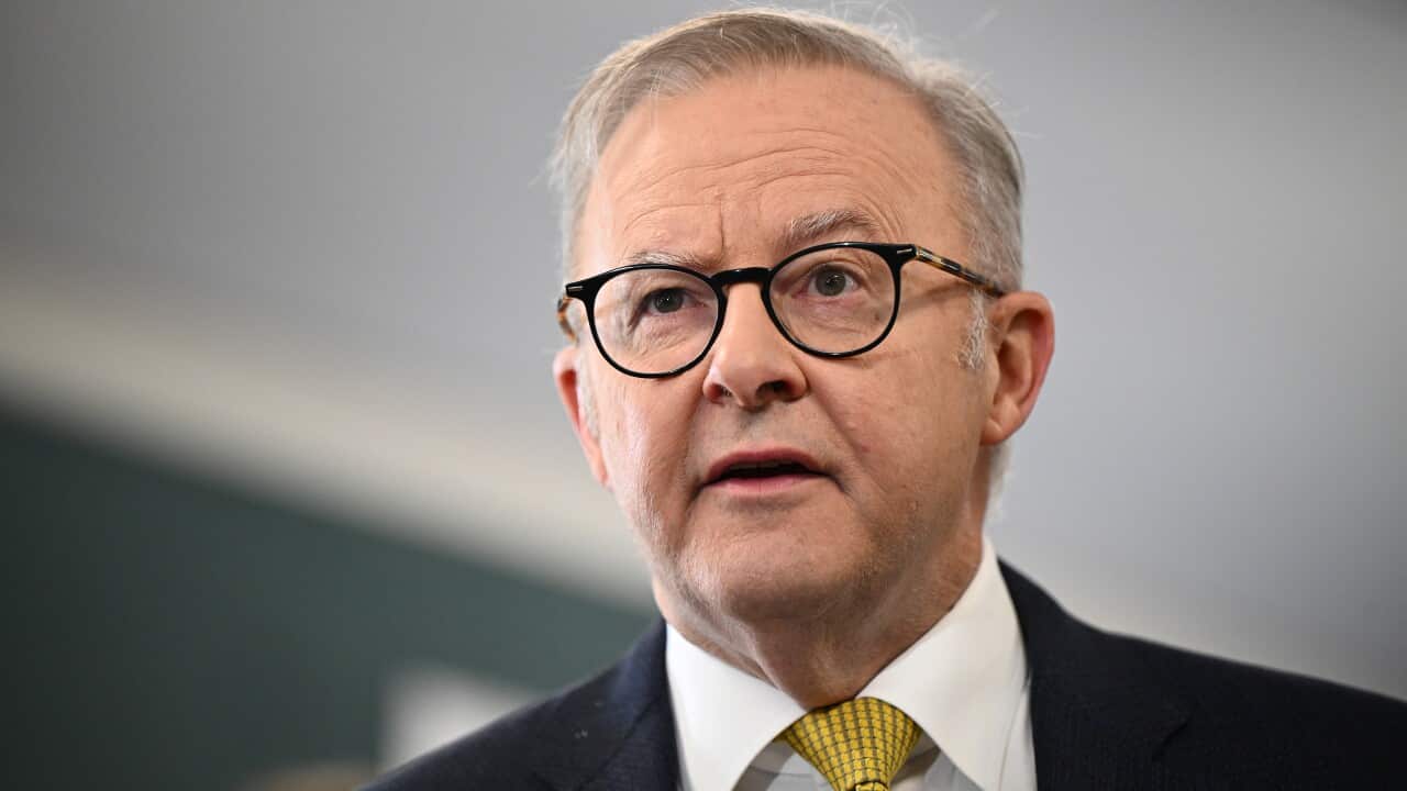 Prime Minister Anthony Albanese, wearing a suit, tie and glasses, is speaking.