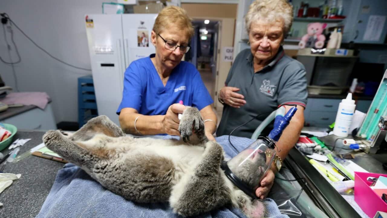 Photo by Nathan Edwards/Getty Images)